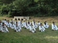 taekwondo_en_riera_de_ciuret_2009_137_20110811_1904152611-jpg